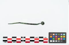Foto von Bronzerollenkopfnadel (NHMW-PRAE-026160)
